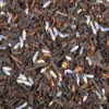 Ashbys® Earl Grey With Lavender Tea 2lb -Coffee EarlGreyLavander 18369.1671216347