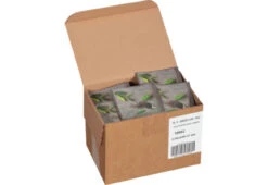 Steep Cafe Decaf English Breakfast 50/cs -Coffee SCDEB Box 70221.1666256908