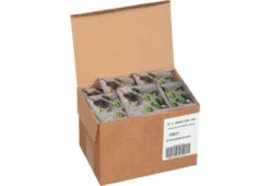 Steep Cafe Organic English Breakfast 50/cs 9 Steep Cafe Organic English Breakfast 50/cs -Coffee SCEB Box 33441.1666256934