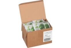 Steep Cafe Mint 50/cs -Coffee SC Min Box 64669.1666256920