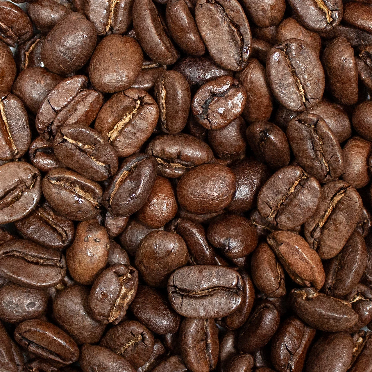 Bear's Blend 5lb 3 Bear's Blend 5lb